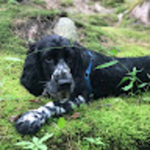 Meet your Posher, Lucy